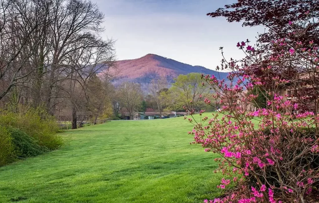 black mountain