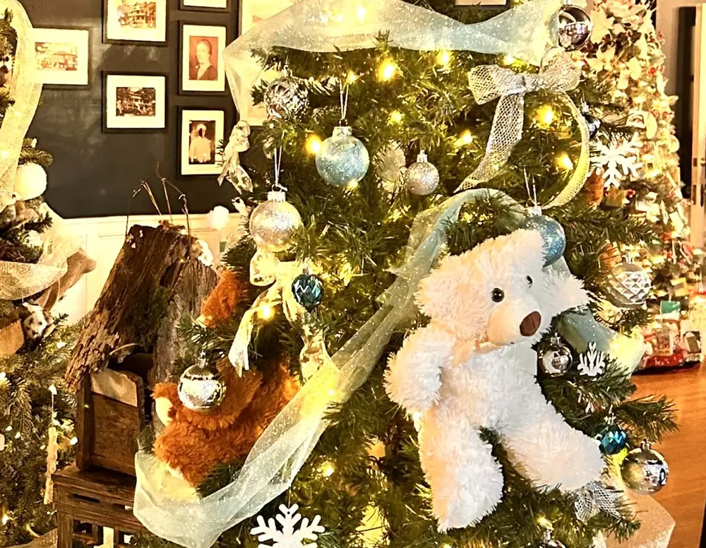 Teddy On The Tree